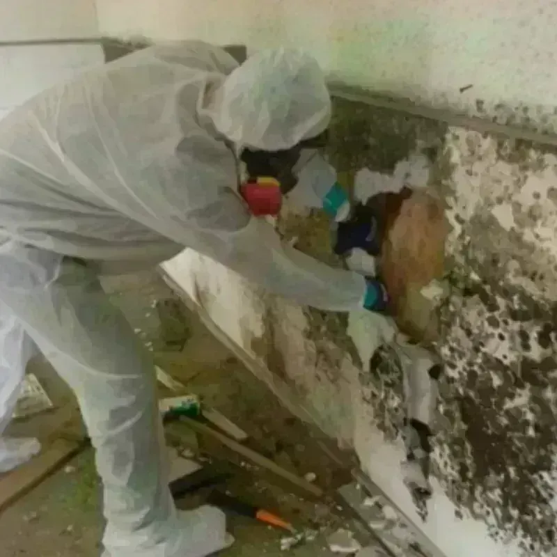 Mold Remediation and Removal in Audubon Park, KY